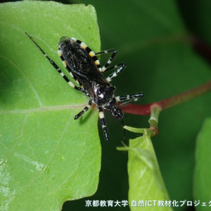 s-P5260011
