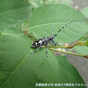 s-P6160038
