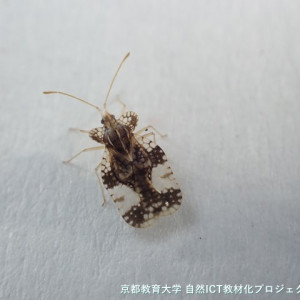 s-P9140013