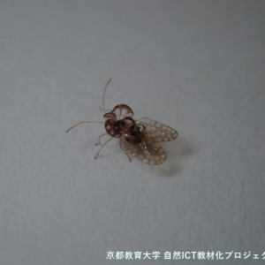 s-P9270048