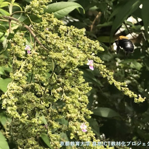 s-IMG 1082