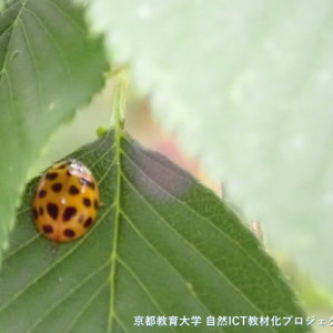 s-P5270009