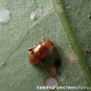 s-P8310035