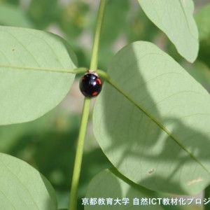 s-P9251260